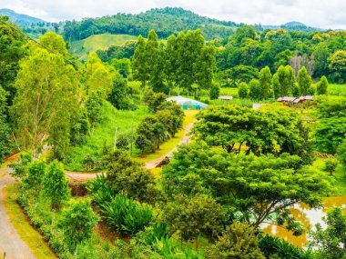 Randonnée Akha d’une journée depuis Chiang Rai – Immersion authentique en Thaïlande
