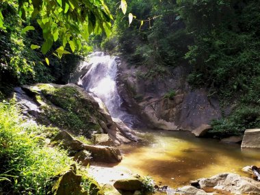 Randonnée Akha d’une journée depuis Chiang Rai – Immersion authentique en Thaïlande