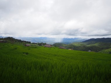 Ban Pa Pong Piang & Doi Inthanon – Rizières en Terrasses en Thaïlande