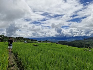 Ban Pa Pong Piang & Doi Inthanon – Rizières en Terrasses en Thaïlande