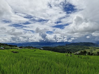 Ban Pa Pong Piang & Doi Inthanon – Rizières en Terrasses en Thaïlande