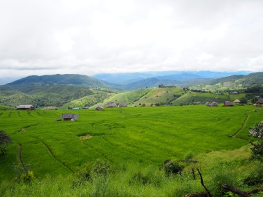 Ban Pa Pong Piang & Doi Inthanon – Rizières en Terrasses en Thaïlande