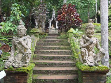 Doi Suthep au Lever du Soleil – Avec les Moines