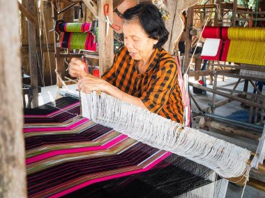 Campagne de Chiang Mai et rizières : vivez la Thaïlande authentique