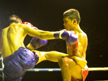 Soirée Muay Thaï à Chiang Mai