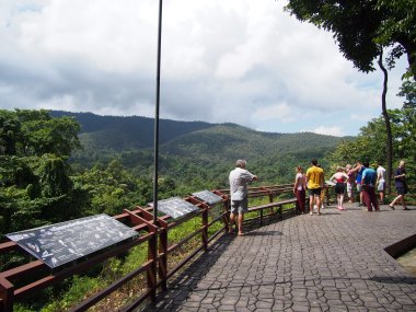 Cascade Sticky Bua Thong – Excursion Depuis Chiang Mai