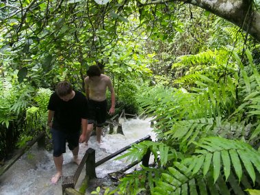 Cascade Sticky Bua Thong – Excursion Depuis Chiang Mai