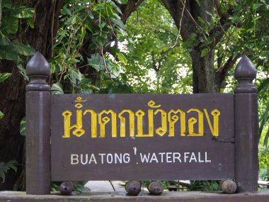 Cascade Sticky Bua Thong – Excursion Depuis Chiang Mai