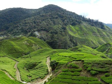 2 jours privés à Chiang Rai et au Triangle d'Or