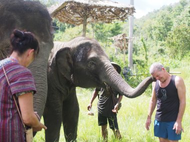 Journée Complète avec les Éléphants – Sanctuaire Éthique de Thong
