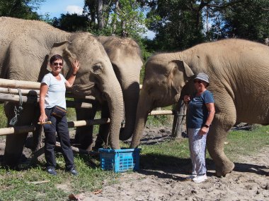 Journée Complète avec les Éléphants – Sanctuaire Éthique de Thong