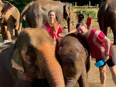 Kerchor Elephant Eco Park – Sanctuaire d'éléphants éthique à Chiang Mai