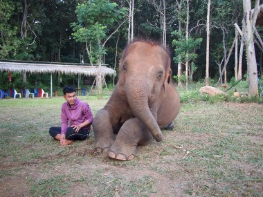 Kerchor Elephant Eco Park – Sanctuaire d'éléphants éthique à Chiang Mai