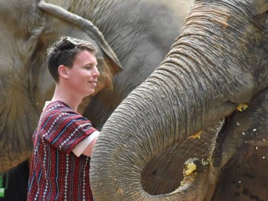 Elephant Jungle Sanctuary Koh Samui : rencontre éthique avec les éléphants (1/2 journée)