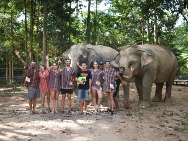 Elephant Jungle Sanctuary Koh Samui : rencontre éthique avec les éléphants (1/2 journée)