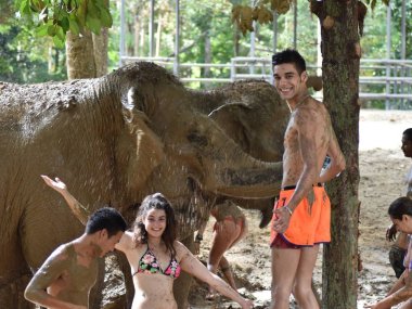 Elephant Jungle Sanctuary Koh Samui : rencontre éthique avec les éléphants (1/2 journée)