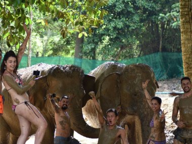 Elephant Jungle Sanctuary Koh Samui : rencontre éthique avec les éléphants (1/2 journée)
