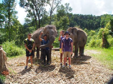 Demi-Journée au Elephant Village – Jungle & Rizières