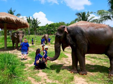 Sanctuaire d’Éléphants Living Green Pattaya