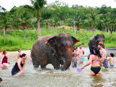 Sanctuaire d’Éléphants Living Green Pattaya