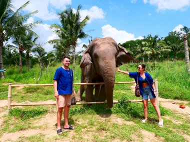 Sanctuaire d’Éléphants Living Green Pattaya
