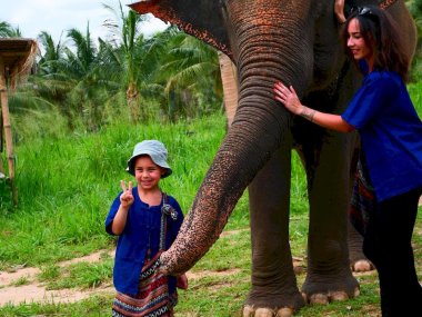 Sanctuaire d’Éléphants Living Green Pattaya
