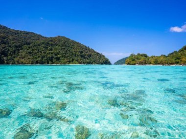 Excursion 1 jour aux îles Surin : snorkeling et plages paradisiaques en Thaïlande