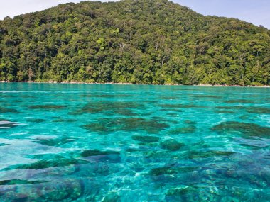 Excursion 1 jour aux îles Surin : snorkeling et plages paradisiaques en Thaïlande