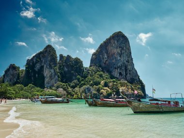 Excursion 1 Jour à Phi Phi Island depuis Krabi