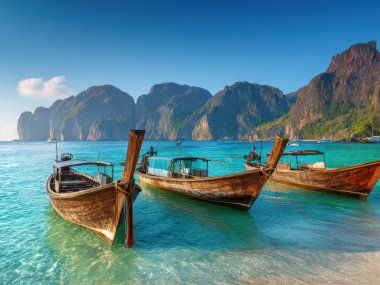 Excursion 1 Jour à Phi Phi Island depuis Krabi