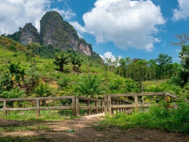 Excursion d'une journée au lac Khao Sok