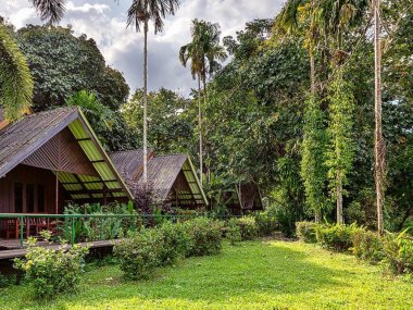 Séjour 3 jours à Khao Sok entre jungle et lac Cheow Lan