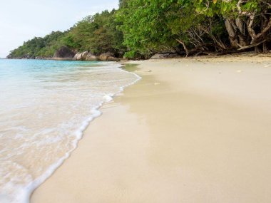 Excursion en speedboat aux îles Similan depuis Khao Lak