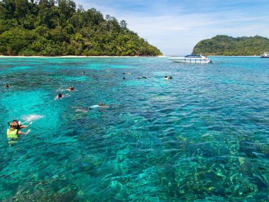Snorkeling à Koh Lanta : explorez Koh Haa ou Koh Bida