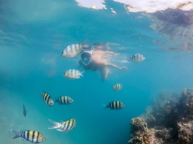 Snorkeling à Koh Lanta : explorez Koh Haa ou Koh Bida