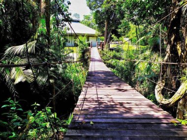 Découverte de la faune et de la flore de Khao Yai