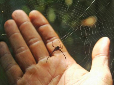 Découverte de la faune et de la flore de Khao Yai