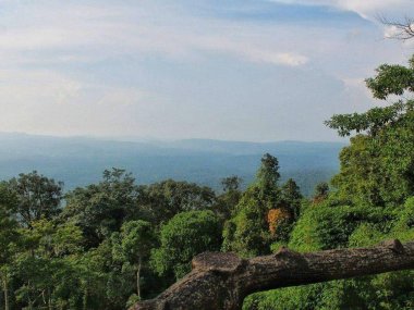 Découverte de la faune et de la flore de Khao Yai