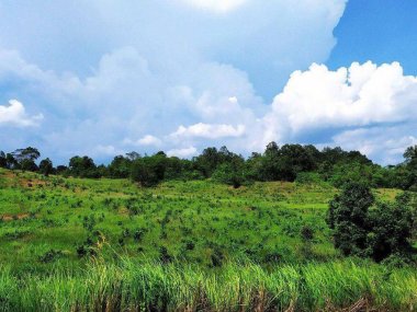 Découverte de la faune et de la flore de Khao Yai
