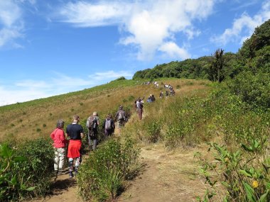 Éco-Trekking Karen & Doi Inthanon – 2 Jours / 1 Nuit