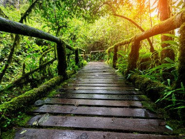 Éco-Trekking Karen & Doi Inthanon – 2 Jours / 1 Nuit