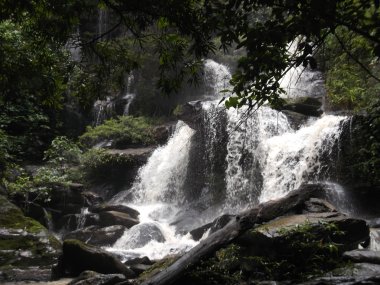 Éco-Trekking Karen & Doi Inthanon – 2 Jours / 1 Nuit