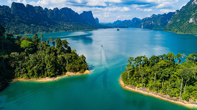 Vol vers le sud