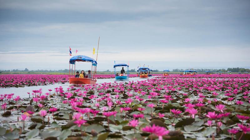 Talay Bua Daeng & Ban Chiang UNESCO