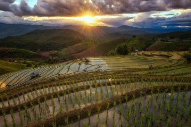 Ban Pa Pong Piang & Doi Inthanon – Rizières en Terrasses en Thaïlande