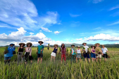 Campagne de Chiang Mai et rizières : vivez la Thaïlande authentique
