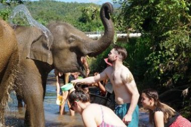 Demi-Journée au Elephant Jungle Sanctuary – Chiang Mai