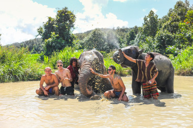 Demi-Journée avec les Éléphants – Sanctuaire Éthique près de Chiang Mai