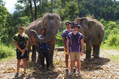 Demi-Journée au Elephant Village – Jungle & Rizières