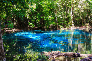 Piscine d’Émeraude & Sources Chaudes • Excursion Nature à Krabi